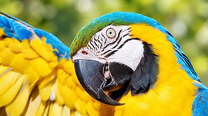 Free Online Image Sharpener | Make Photos Clearer Instantly